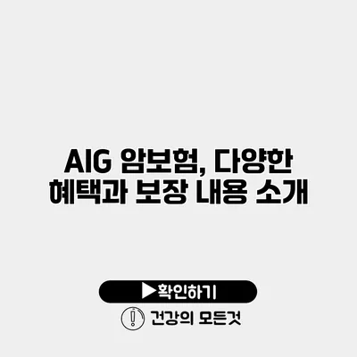 AIG 암보험, 다양한 혜택과 보장 내용 소개