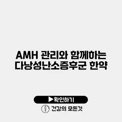 AMH 관리와 함께하는 다낭성난소증후군 한약