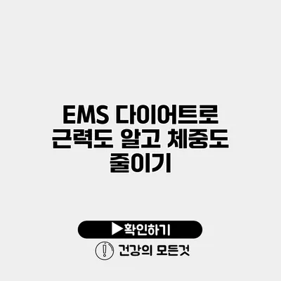 EMS 다이어트로 근력도 알고 체중도 줄이기
