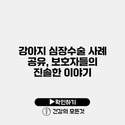 강아지 심장수술 사례 공유, 보호자들의 진솔한 이야기