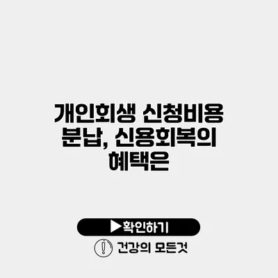 개인회생 신청비용 분납, 신용회복의 혜택은?