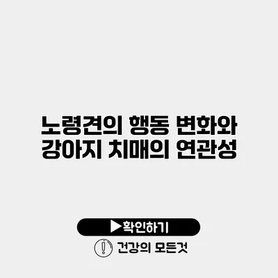 노령견의 행동 변화와 강아지 치매의 연관성