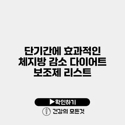 단기간에 효과적인 체지방 감소 다이어트 보조제 리스트