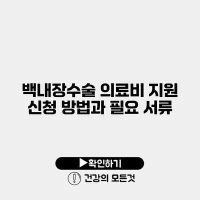 백내장수술 의료비 지원 신청 방법과 필요 서류