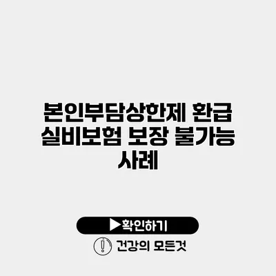 본인부담상한제 환급 실비보험 보장 불가능 사례