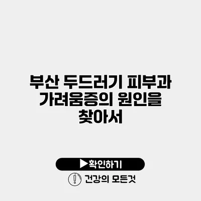 부산 두드러기 피부과 가려움증의 원인을 찾아서