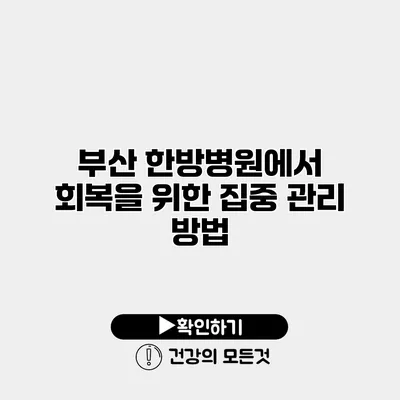 부산 한방병원에서 회복을 위한 집중 관리 방법