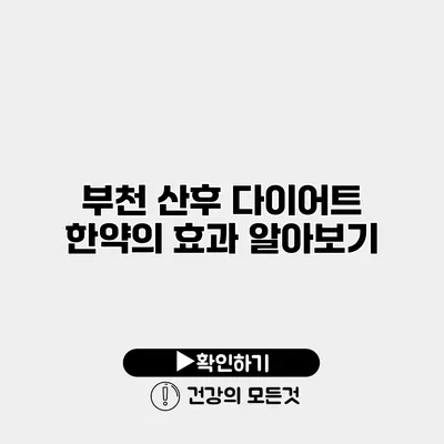 부천 산후 다이어트 한약의 효과 알아보기