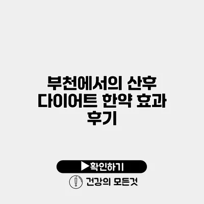 부천에서의 산후 다이어트 한약 효과 후기