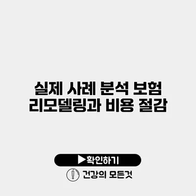 실제 사례 분석 보험 리모델링과 비용 절감