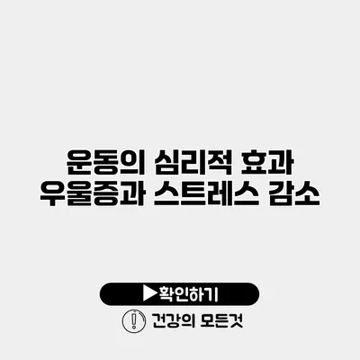 운동의 심리적 효과 우울증과 스트레스 감소