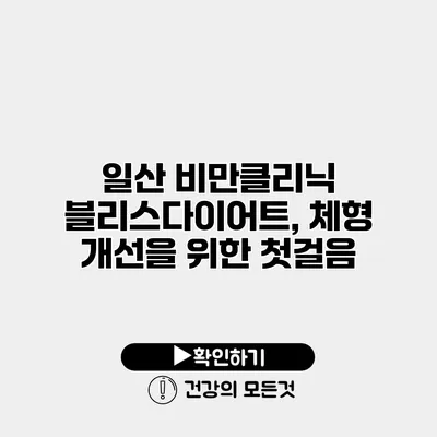 일산 비만클리닉 블리스다이어트, 체형 개선을 위한 첫걸음