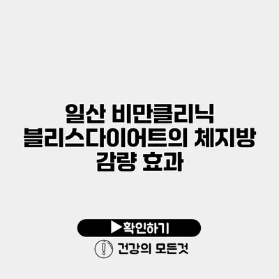 일산 비만클리닉 블리스다이어트의 체지방 감량 효과