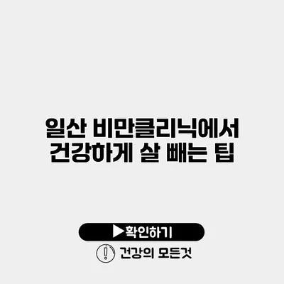 일산 비만클리닉에서 건강하게 살 빼는 팁