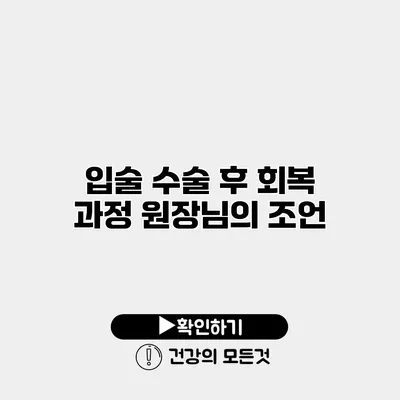 입술 수술 후 회복 과정 원장님의 조언