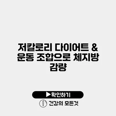 저칼로리 다이어트 & 운동 조합으로 체지방 감량