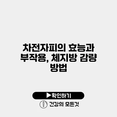 차전자피의 효능과 부작용, 체지방 감량 방법