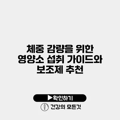 체중 감량을 위한 영양소 섭취 가이드와 보조제 추천