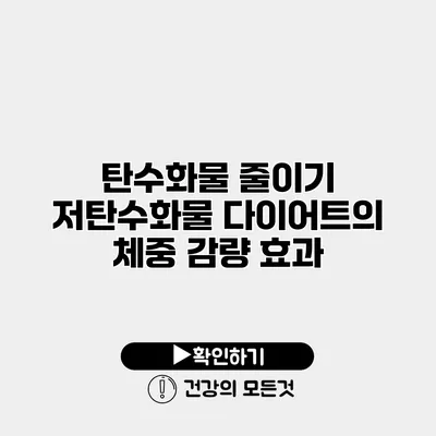 탄수화물 줄이기 저탄수화물 다이어트의 체중 감량 효과