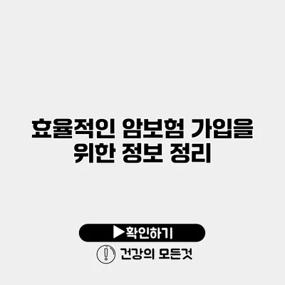 효율적인 암보험 가입을 위한 정보 정리