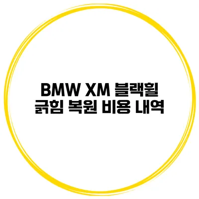 BMW XM 블랙휠 긁힘 복원 비용 내역