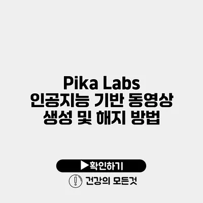 Pika Labs 인공지능 기반 동영상 생성 및 해지 방법