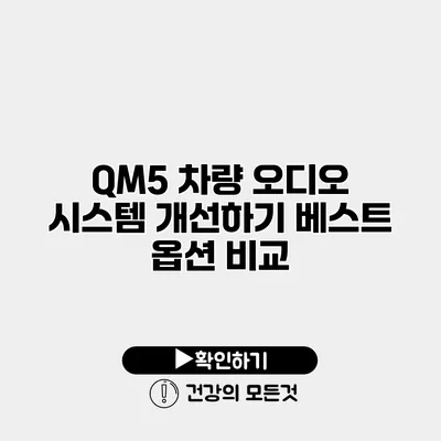 QM5 차량 오디오 시스템 개선하기 베스트 옵션 비교