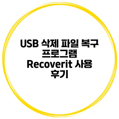 USB 삭제 파일 복구 프로그램 Recoverit 사용 후기