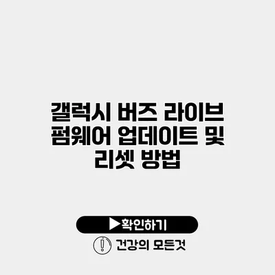갤럭시 버즈 라이브 펌웨어 업데이트 및 리셋 방법