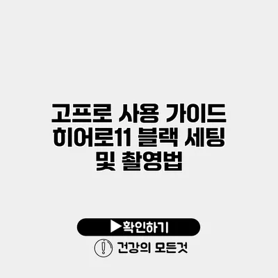 고프로 사용 가이드 히어로11 블랙 세팅 및 촬영법