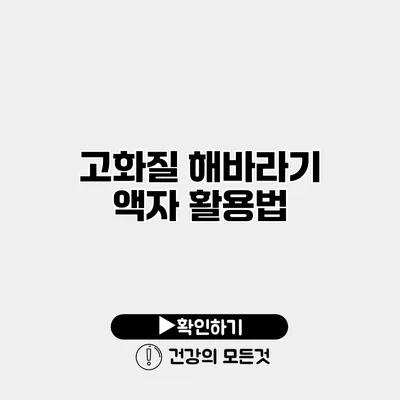 고화질 해바라기 액자 활용법
