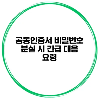 공동인증서 비밀번호 분실 시 긴급 대응 요령