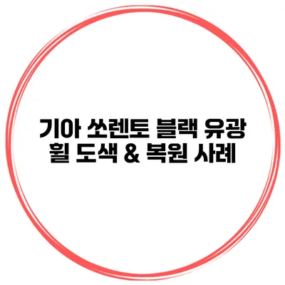 기아 쏘렌토 블랙 유광 휠 도색 & 복원 사례
