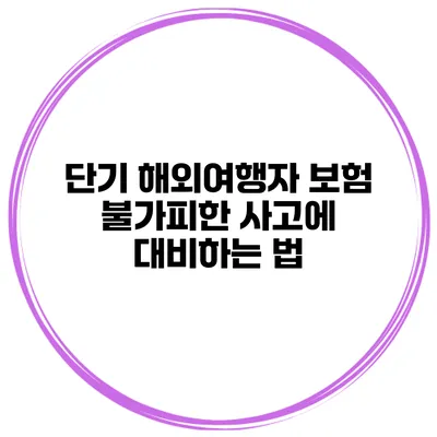 단기 해외여행자 보험 불가피한 사고에 대비하는 법