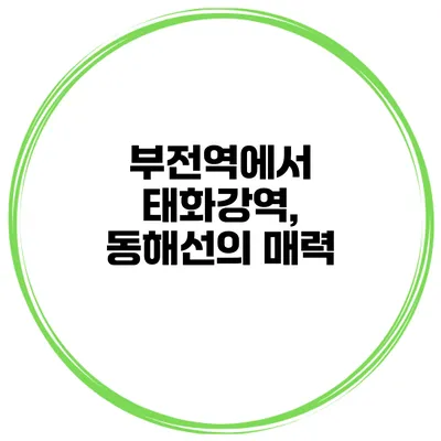 부전역에서 태화강역, 동해선의 매력