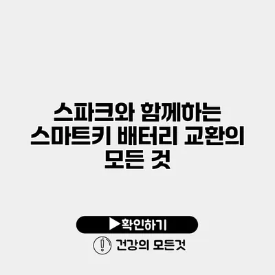 스파크와 함께하는 스마트키 배터리 교환의 모든 것