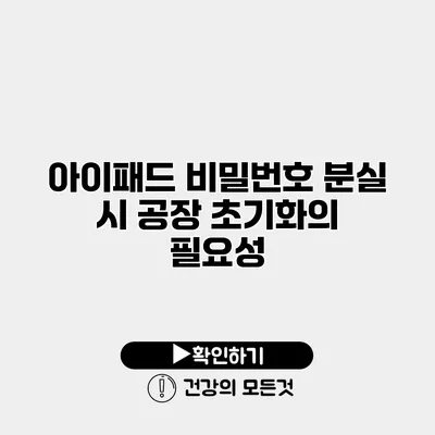 아이패드 비밀번호 분실 시 공장 초기화의 필요성