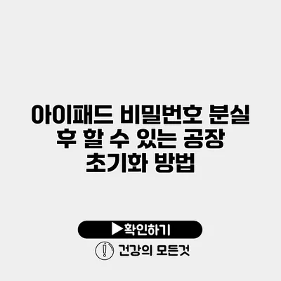 아이패드 비밀번호 분실 후 할 수 있는 공장 초기화 방법