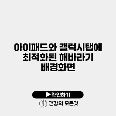 아이패드와 갤럭시탭에 최적화된 해바라기 배경화면