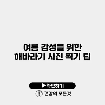 여름 감성을 위한 해바라기 사진 찍기 팁
