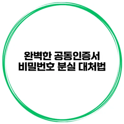 완벽한 공동인증서 비밀번호 분실 대처법
