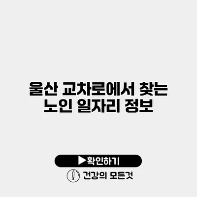 울산 교차로에서 찾는 노인 일자리 정보