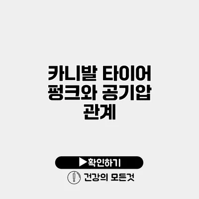 카니발 타이어 펑크와 공기압 관계