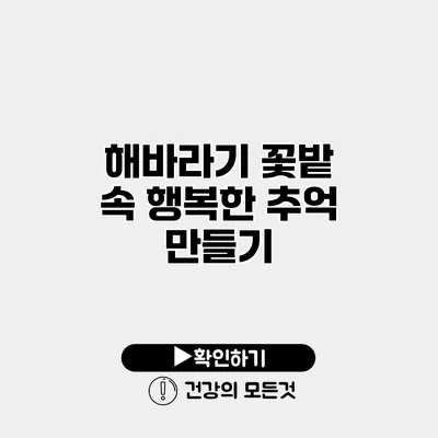 해바라기 꽃밭 속 행복한 추억 만들기