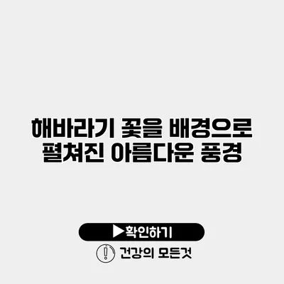 해바라기 꽃을 배경으로 펼쳐진 아름다운 풍경