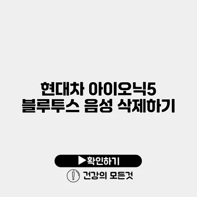 현대차 아이오닉5 블루투스 음성 삭제하기